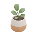 Plant Pot